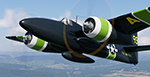 Tigercat_XP