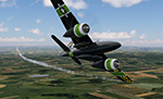 Tigercat_XP